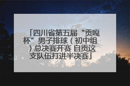四川省第五届“贡嘎杯”男子排球（初中组）总决赛开赛 自贡这支队伍打进半决赛