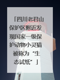 四川老君山保护区附近发现国家一级保护动物小灵猫 被称为“生态试纸”