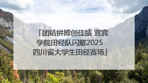 团结拼搏创佳绩 宜宾学院田径队闪耀2025四川省大学生田径赛场