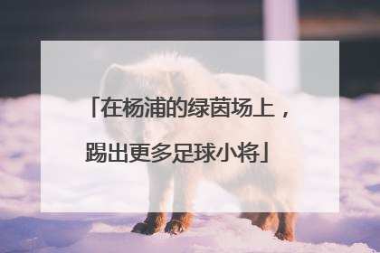 在杨浦的绿茵场上，踢出更多足球小将