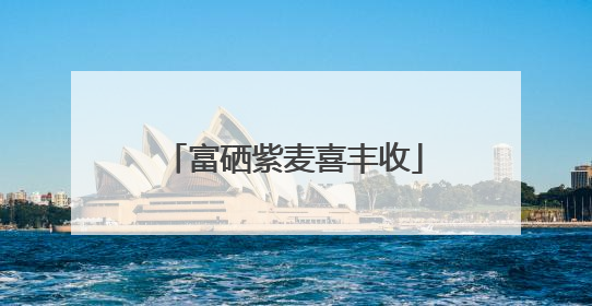 富硒紫麦喜丰收