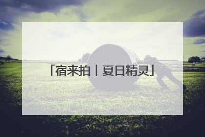 宿来拍丨夏日精灵