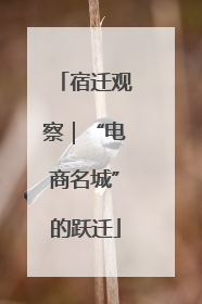 宿迁观察｜“电商名城”的跃迁