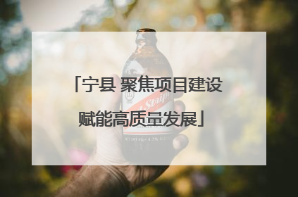 宁县 聚焦项目建设 赋能高质量发展