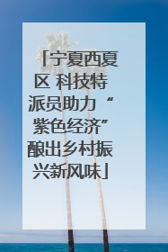 宁夏西夏区 科技特派员助力“紫色经济”酿出乡村振兴新风味