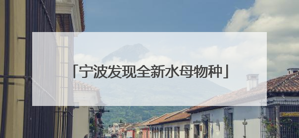 宁波发现全新水母物种