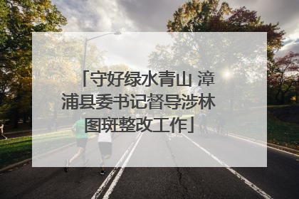 守好绿水青山 漳浦县委书记督导涉林图斑整改工作