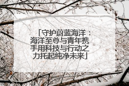 守护蔚蓝海洋：海洋至尊与青年携手用科技与行动之力托起纯净未来