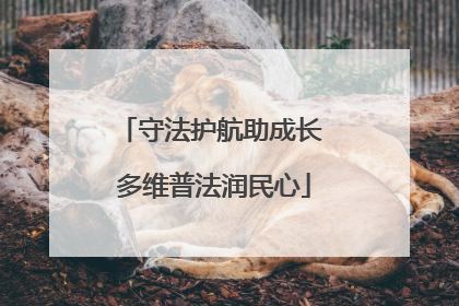 守法护航助成长 多维普法润民心