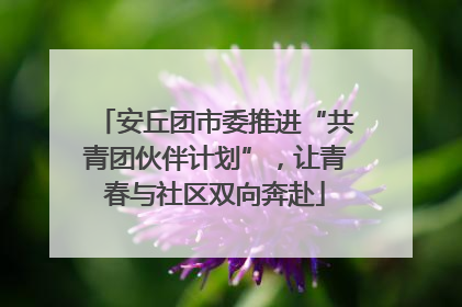 安丘团市委推进“共青团伙伴计划”，让青春与社区双向奔赴