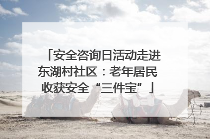 安全咨询日活动走进东湖村社区：老年居民收获安全“三件宝”