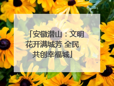安徽潜山：文明花开满城芳 全民共创幸福城
