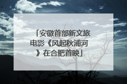 安徽首部新文旅电影《风起秋浦河》在合肥首映