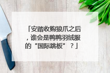 安踏收购狼爪之后，谁会是鸭鸭羽绒服的“国际跳板”？