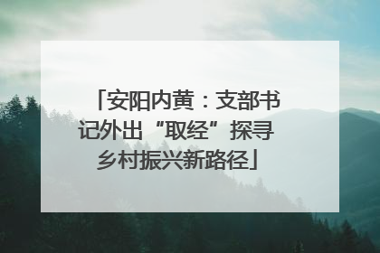 安阳内黄：支部书记外出“取经”探寻乡村振兴新路径