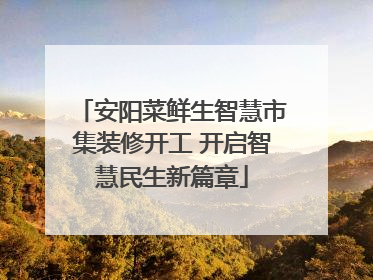 安阳菜鲜生智慧市集装修开工 开启智慧民生新篇章