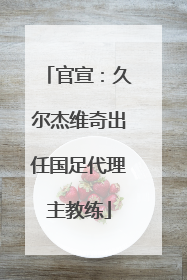 官宣：久尔杰维奇出任国足代理主教练