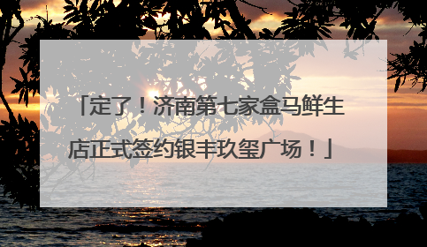 定了！济南第七家盒马鲜生店正式签约银丰玖玺广场！