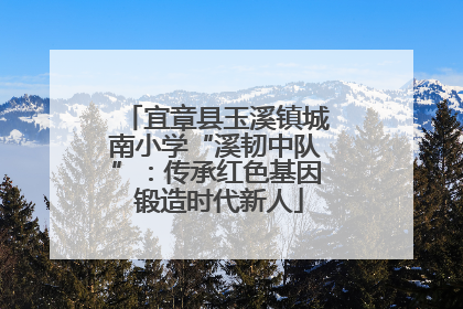 宜章县玉溪镇城南小学“溪韧中队”：传承红色基因 锻造时代新人