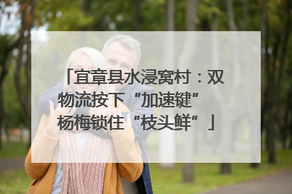 宜章县水浸窝村：双物流按下“加速键” 杨梅锁住“枝头鲜”