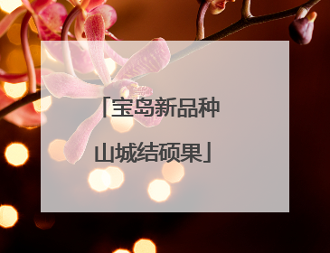 宝岛新品种 山城结硕果