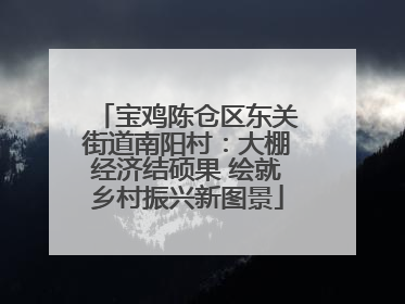 宝鸡陈仓区东关街道南阳村：大棚经济结硕果 绘就乡村振兴新图景