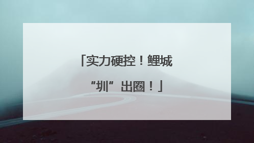 实力硬控！鲤城“圳”出圈！