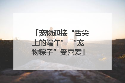 宠物迎接“舌尖上的端午” “宠物粽子”受喜爱