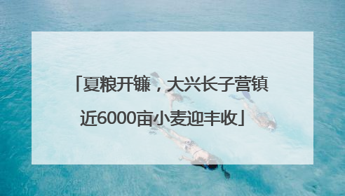 夏粮开镰，大兴长子营镇近6000亩小麦迎丰收