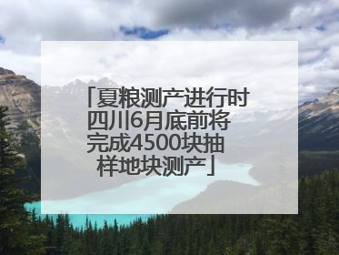 夏粮测产进行时 四川6月底前将完成4500块抽样地块测产