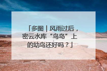 多图｜风雨过后，密云水库“鸟岛”上的幼鸟还好吗？