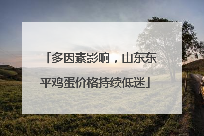 多因素影响，山东东平鸡蛋价格持续低迷