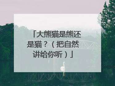 大熊猫是熊还是猫？（把自然讲给你听）