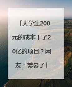 大学生200元的成本干了20亿的项目？网友：羡慕了