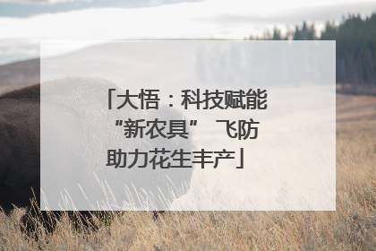大悟：科技赋能“新农具” 飞防助力花生丰产