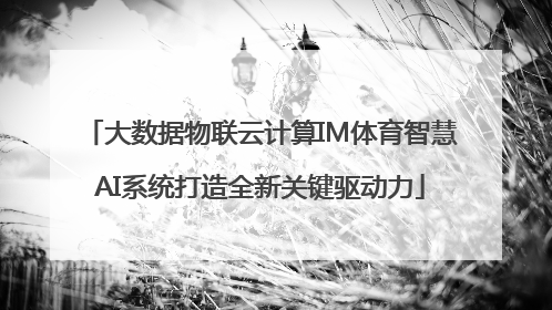 大数据物联云计算IM体育智慧AI系统打造全新关键驱动力