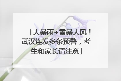 大暴雨+雷暴大风！武汉连发多条预警，考生和家长请注意