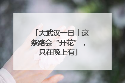 大武汉一日丨这条路会“开花”，只在晚上有