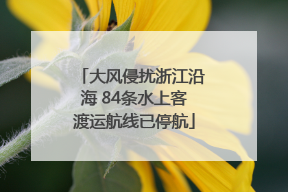大风侵扰浙江沿海 84条水上客渡运航线已停航
