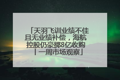 天羽飞训业绩不佳且无业绩补偿，海航控股仍豪掷8亿收购丨一周市场观察