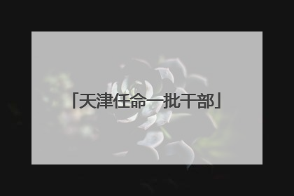 天津任命一批干部