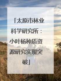 太原市林业科学研究所：小叶杨种质资源研究实现突破