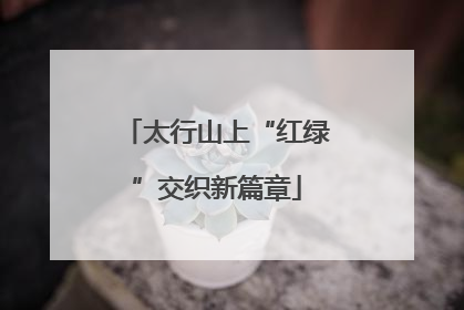 太行山上“红绿”交织新篇章