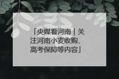 央媒看河南｜关注河南小麦收购、高考保障等内容