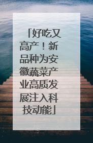 好吃又高产！新品种为安徽蔬菜产业高质发展注入科技动能
