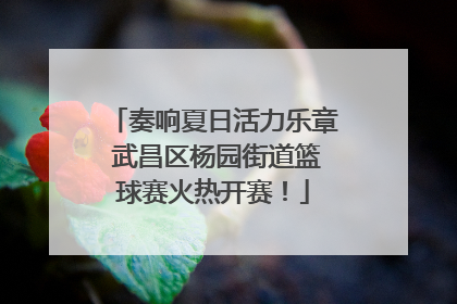 奏响夏日活力乐章 武昌区杨园街道篮球赛火热开赛！