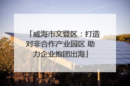 威海市文登区：打造对非合作产业园区 助力企业抱团出海