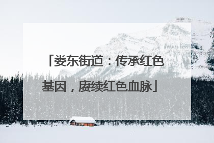 娄东街道：传承红色基因，赓续红色血脉