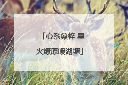 心系桑梓 星火燎原暖湖塘