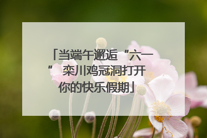 当端午邂逅“六一” 栾川鸡冠洞打开你的快乐假期
